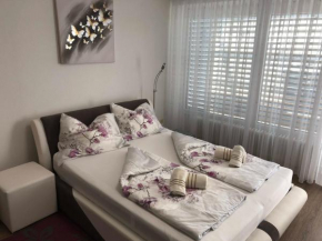 Komfortables Appartement/Garconniere in Graz für Urlaub und Geschäftsreisen